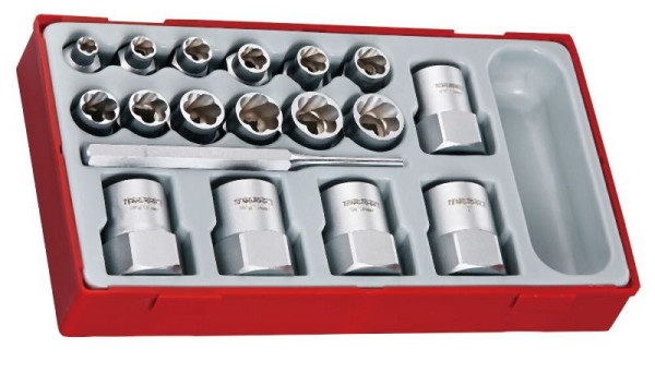 Teng Tools Bolzenauszieher-Set, TT1, 18 Teile, TTBE18