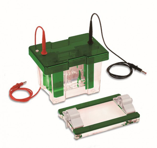 Consort Gelgussbasis 10 cm, Zubehör zum EVS1100-Serie-Elektrophorese-System, EVS1100-BASE