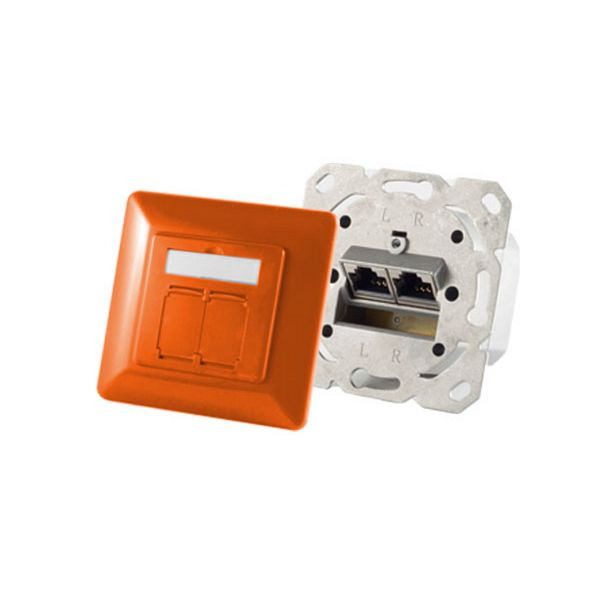 shiverpeaks BASIC-S, cat6A Netzwerkdose 2-Fach designfähig, horizontale Kabelführung, Zentralstück inkl. Abdeckrahmen, orange, BS74280-O