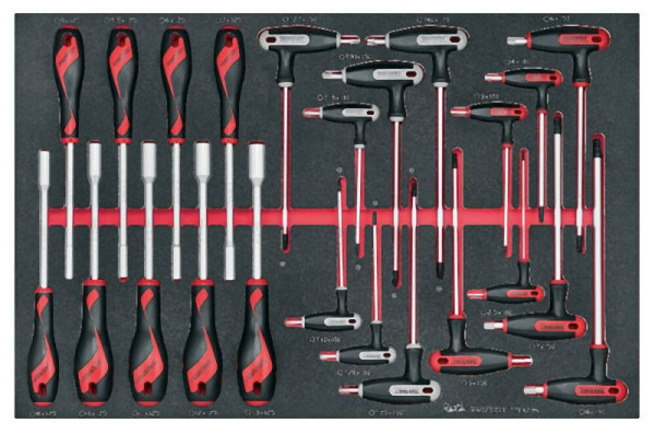 Teng Tools Steckschlüssel- & Sechskant/TX-T-Griff-Set, FOAM4X4, 23 Teile, TTEX23N