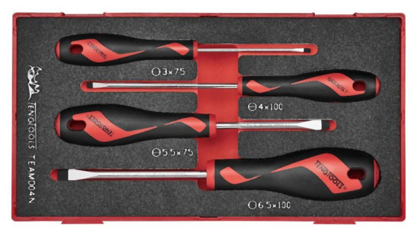 Teng Tools Schraubendreher-Set, Schlitz, FOAM1, 4 Teile, TEAMD04N