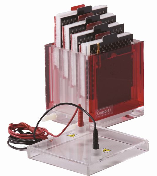 Consort MINI-Blotkassette 10X10 cm, Zubehör zum EVS3100-BLOT-Serie-Elektrophorese-System, EVS3100-CASETTE