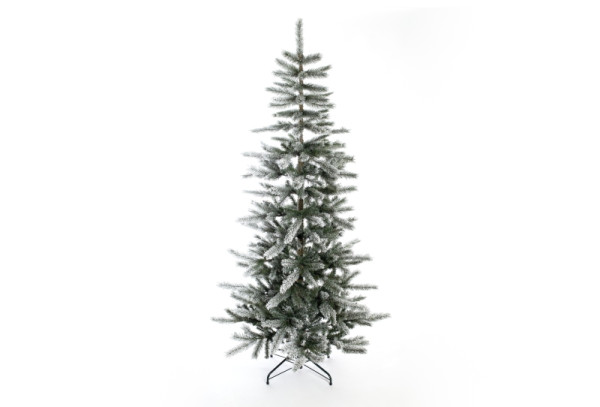 Evergreen Weihnachtsbaum Cedar Kiefer Frost, 210 cm, PGT02600007