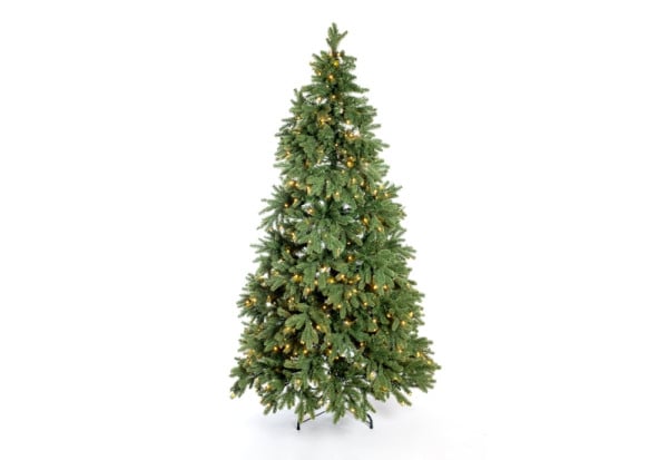 Evergreen Roswell Kiefer mit Lichterkette, 210 cm, PGTG70P2459L05