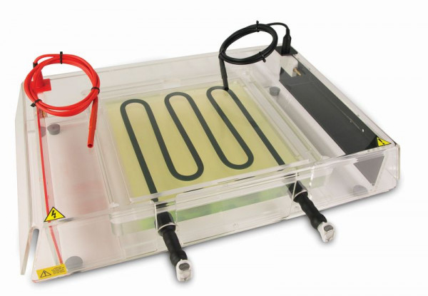 Consort EIEF1100-SYS Isoelektrisches Fokussiersystem 26X26 cm, EIEF1100-SYS