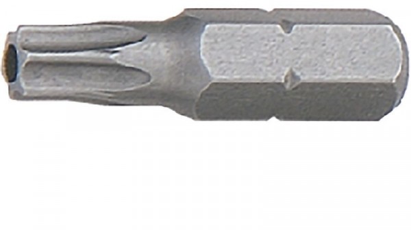 padre Bits für Torx mit Bohrung 1/4" Lose 605 Tx 7, 60500007