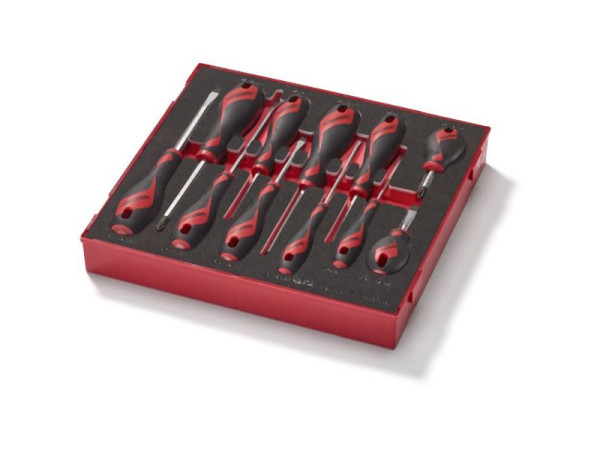 Teng Tools Schraubendreher-Set, gemischt, FOAM2, 11 Teile, TED911N