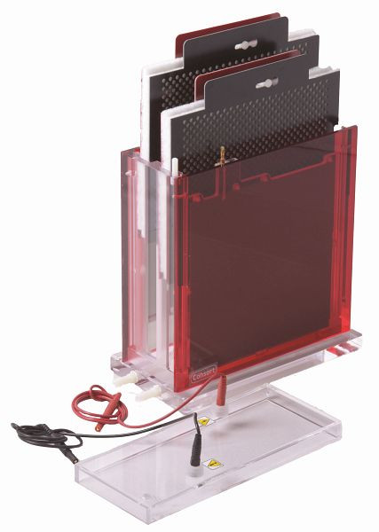 Consort MAXI-Blotkassette 20X20 cm, Zubehör zum EVS3300-Serie-Elektrophorese-System, EVS3300-CASETTE