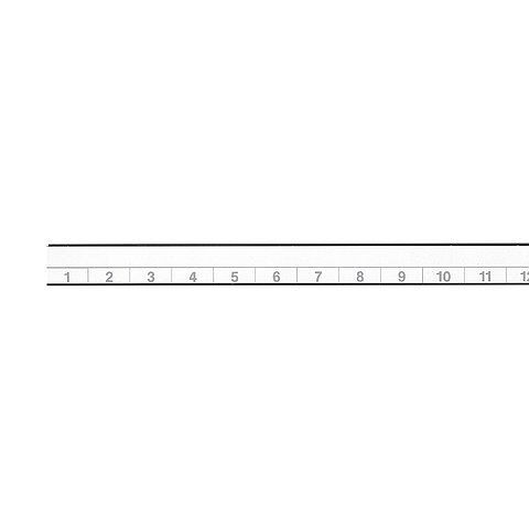 Magnetoplan Kopfleiste mit U-Profil, Inhalt: 1 x 31 Tage, 12711