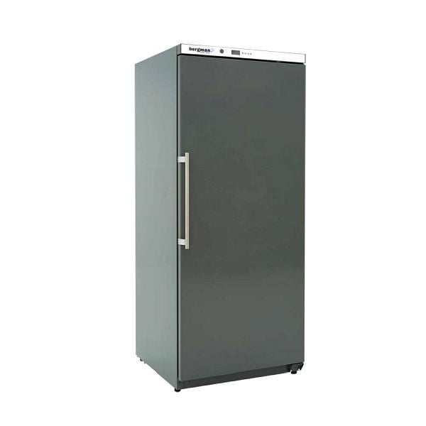 bergman BASICLINE Lagerkühlschrank ABS - 305 l, 64781