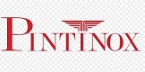 Pintinox Logo