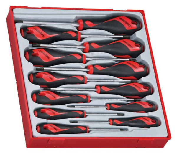 Teng Tools Schraubendreher-Set, TX, TT2, 12 Teile, TTD912TXN